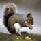 squirrelmaus's Profilbild